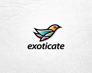 Logos Coloridos Exoticate