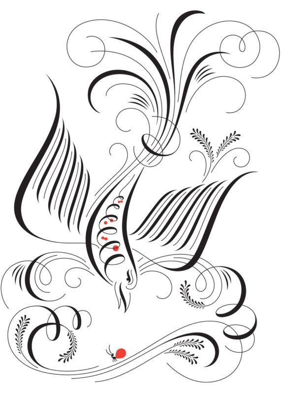 tipografia ilustração e design jessica hische radiolab ilustracao passaro