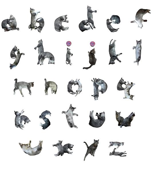 tipografias-diferentes-alfabeto-gatos-nekofont-gatinhos